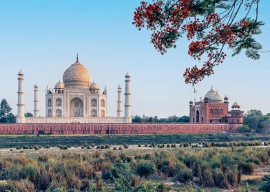 Taj Mahal Backside