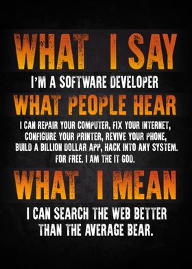 Software Developer 