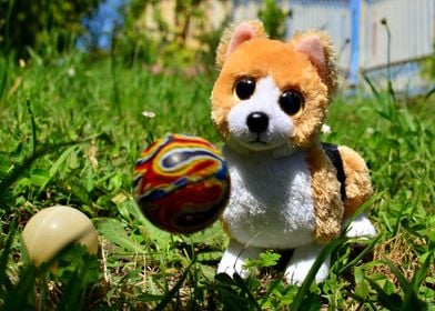 Playful Corgi