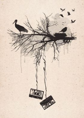 Birds and Tapes