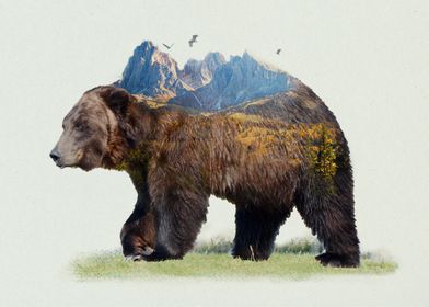 Brown Bear Natural Habitat