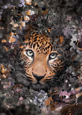 Flowered Leopard