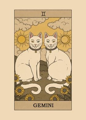 Gemini Cat