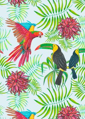 Birds toucan and parrot