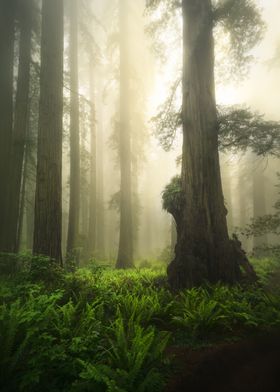 Steve Berkley-preview-2