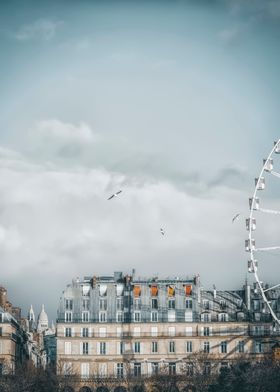 Jardin Des Tuileries