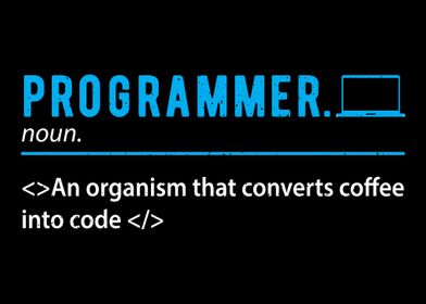 Programmer Definition