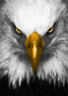 Golden Beak Eagle