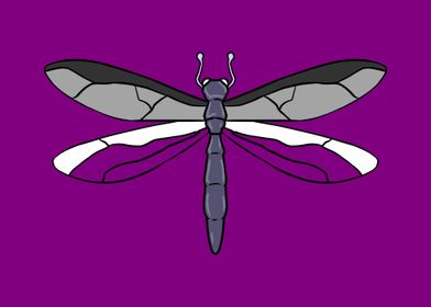 Ace Pride Dragonfly