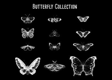 Butterfly Collection