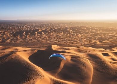 Desert Flight