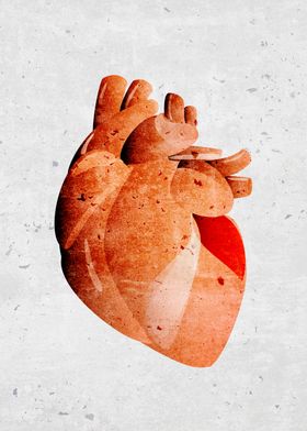 Human heart graphic