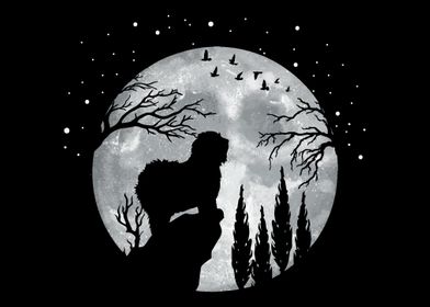 Old English Sheepdog Dogs