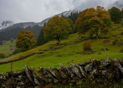 Typical Autumn in Swiss