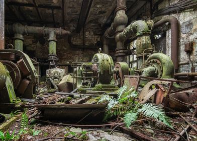 Industrial Ruin With Ferns