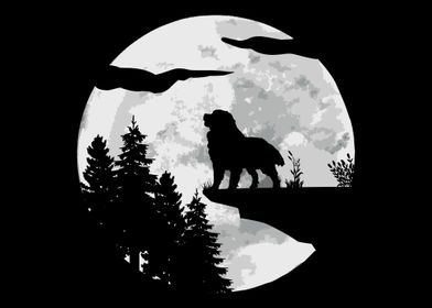 Bernese Mountain Dog