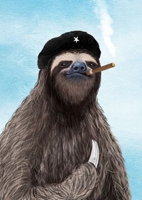 El Sloth