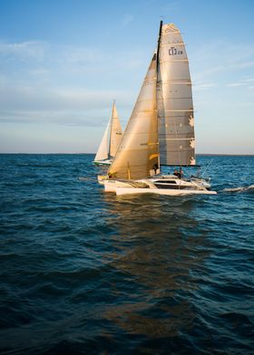 Boat Sailing Boats Ocean