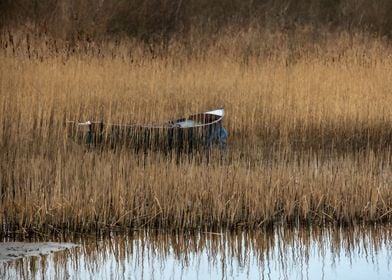 Boat on Lough Colgagh