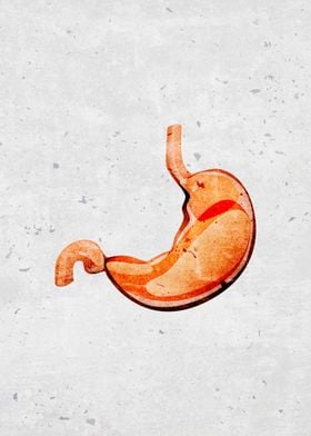 stylized human stomach