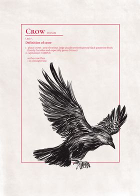 A Crow Flying Down Defined