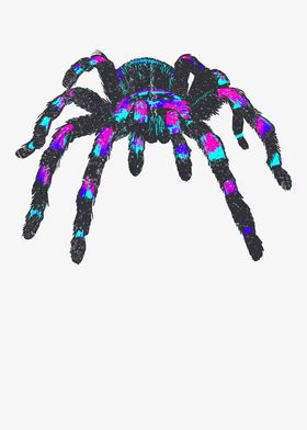 Colorful Tarantula Design