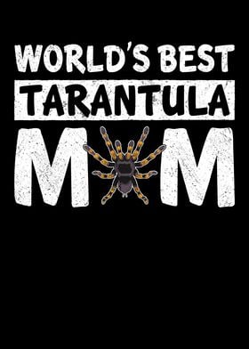 Best Tarantulas Mom