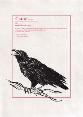 A Crow Cawing Defined