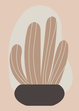 Cactus abstract shapes