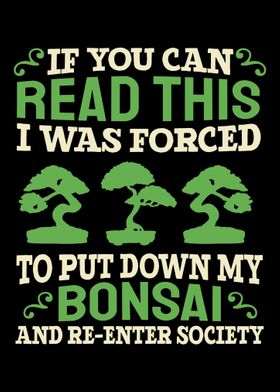 Bonsai Tree Japanese