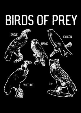 Birds of Prey