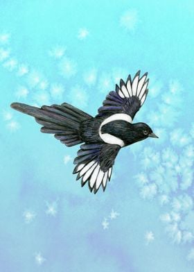 Flying magpie pencil 