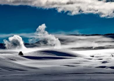 yellowstone national park