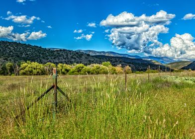 Capitan Mountains NM