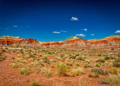 Toadstool Trail in Utah