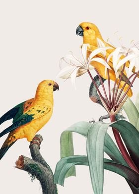 Macaw tropical vintage