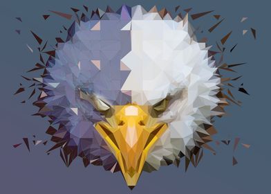 Low Poly Eagle