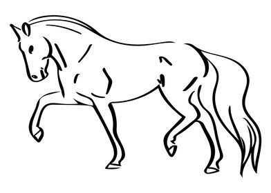 Horse Line Art Minimal