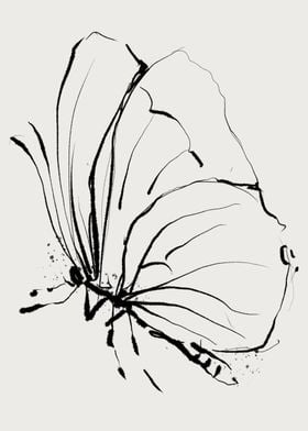 Butterfly art print