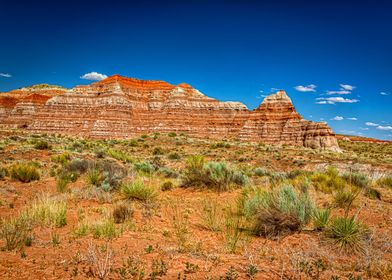 Toadstool Trail in Utah