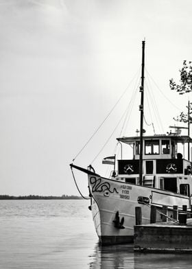 Boat Sailing Boats Ocean