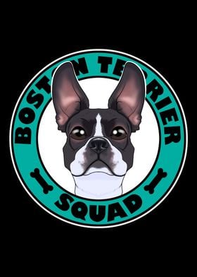 Boston Terrier Squad I Dog