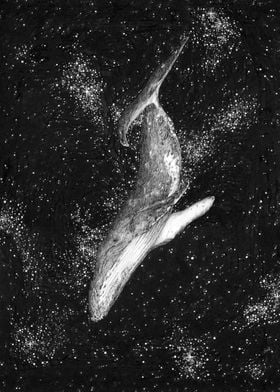Magic Ocean Whale