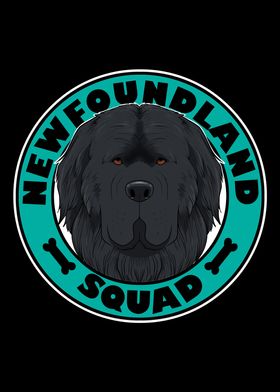 Newfoundland Squad I Dog