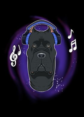 Music Lover I Cane Corso