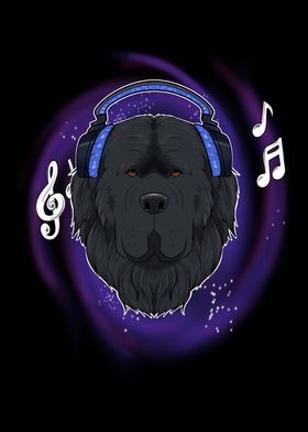 Music Lover I Newfoundland