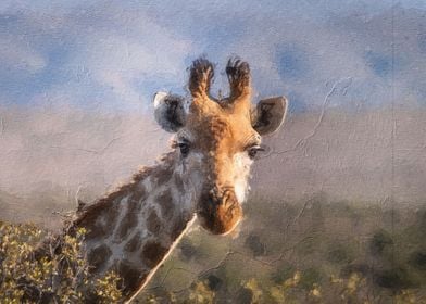 Cute giraffe