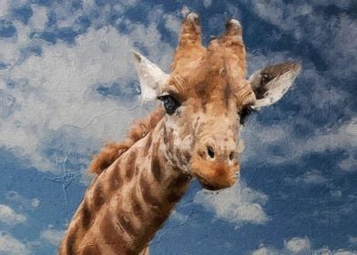 Cute giraffe