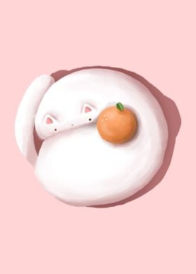 Orange Cake CAT 
