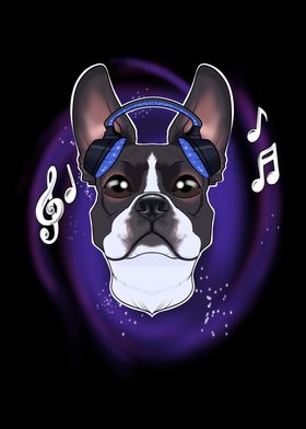 Music Lover Boston Terrier